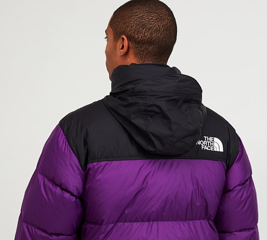 purple north face 1996
