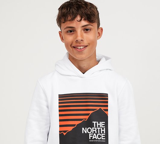 the north face box logo