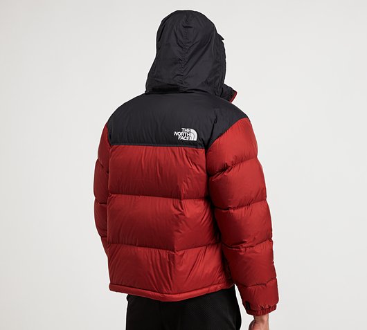 red black north face jacket