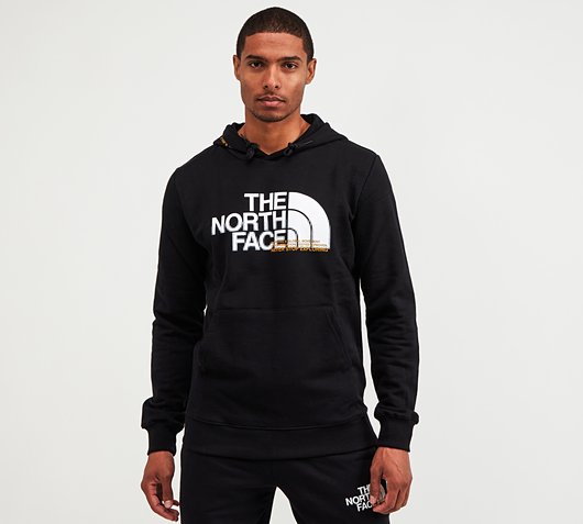 the north face overhead central reflective hoodie