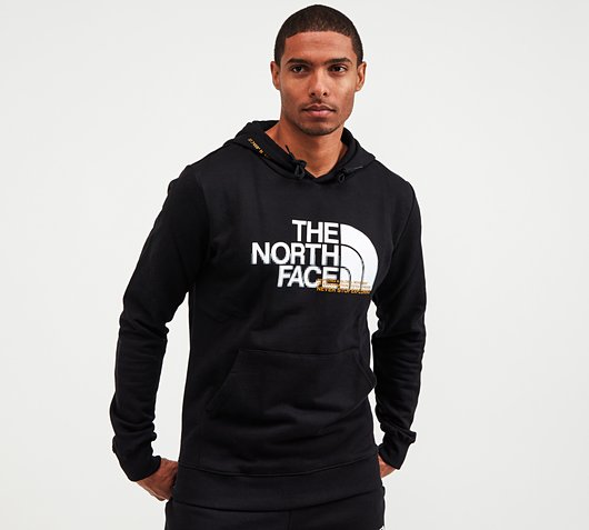 the north face overhead central reflective hoodie