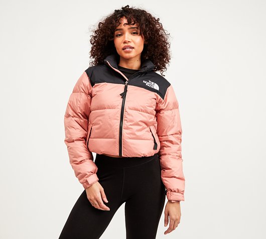 the north face brain dead nuptse