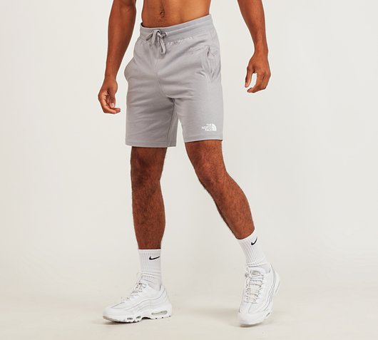 The North Face Logo Short | Meld Grey 