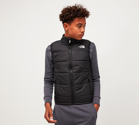 gilet tnf