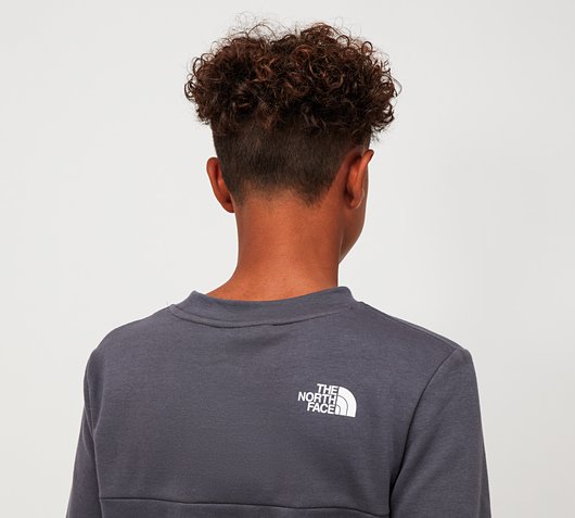 the north face sweatshirt junior