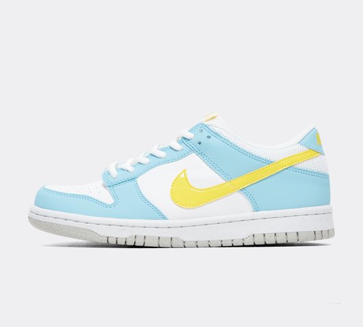 Footasylum nike dunk low Clearance
