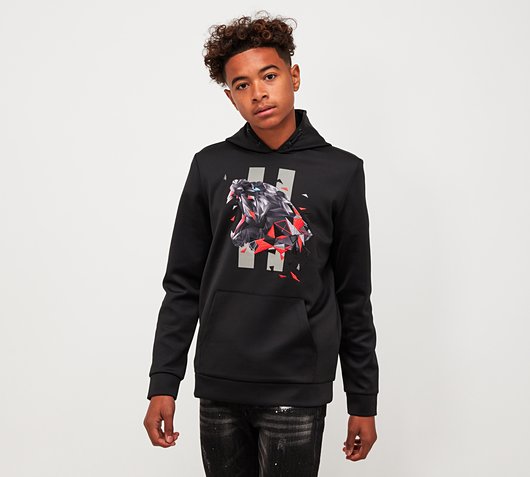 Junior Polygon Panther Overhead Hoodie