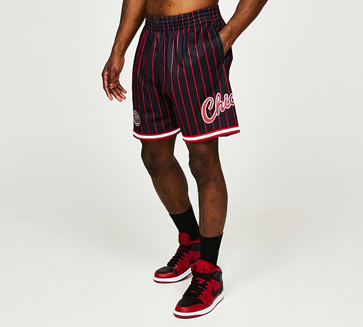 Bulls Championship City Mesh Short