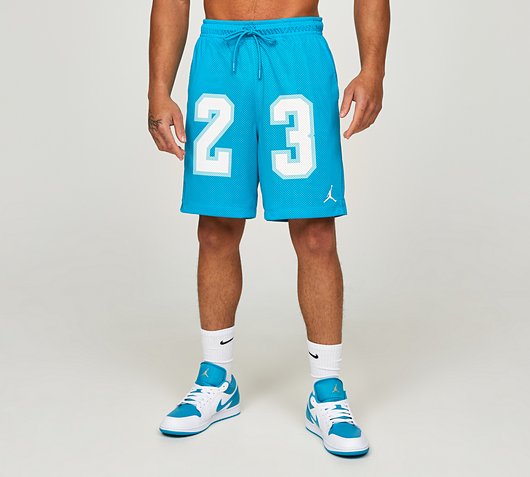 Jordan Essentials Mesh GFX 23 Short | Aquatone | Footasylum