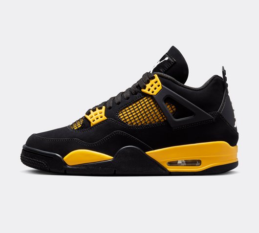 Air Jordan 4 Retro Trainer