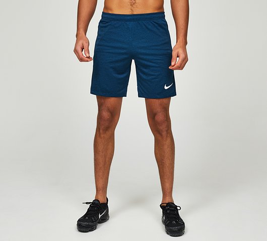 Dri-FIT Academy Novelty Short