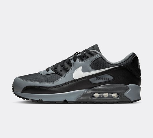 Air Max 90 GTX Trainer