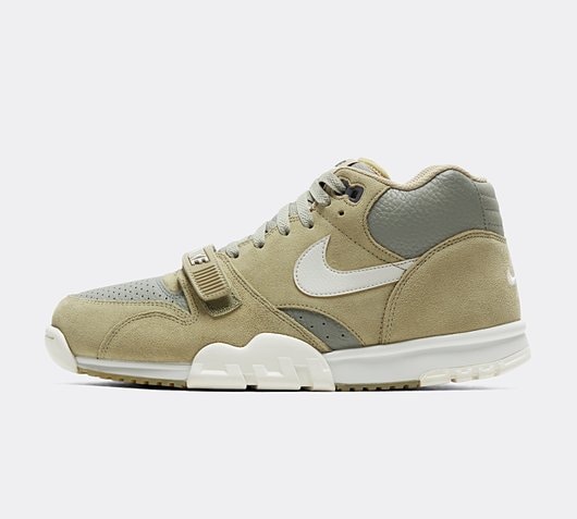 Air Trainer 1