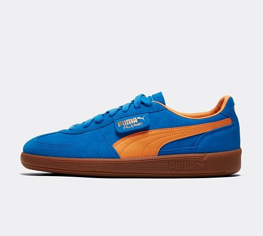 Palermo Trainer