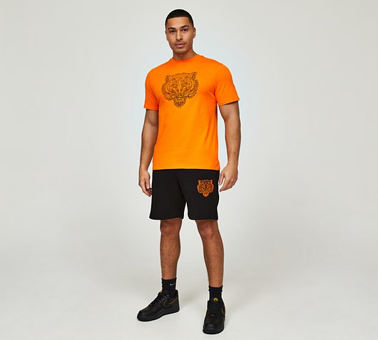 Fury T-Shirt and Short Set