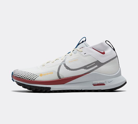 Pegasus Trail 4 GORE-TEX Trainer