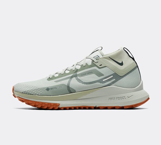 Pegasus Trail 4 GORE-TEX Trainer