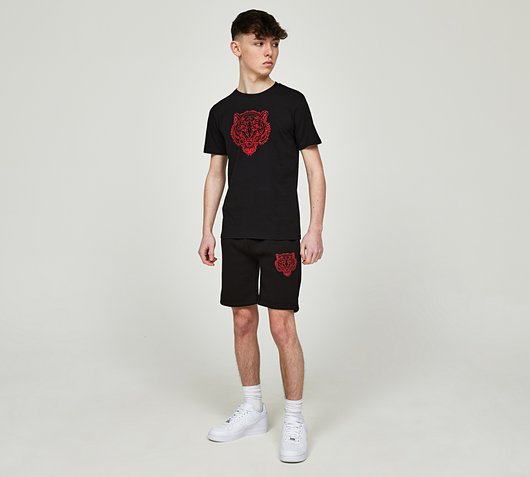 Junior Fury T-Shirt and Short Set