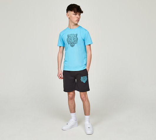 Junior Fury T-Shirt and Short Set
