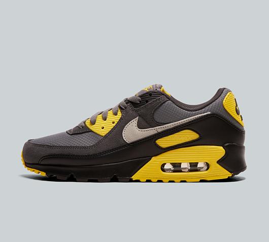 foot asylum air max 90