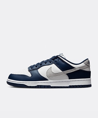 Dunk Low Trainer