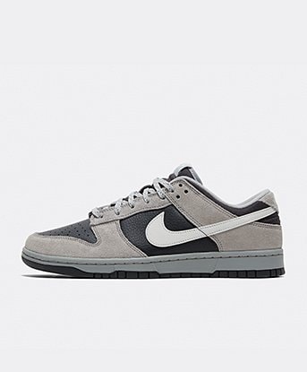 Dunk Low Trainer