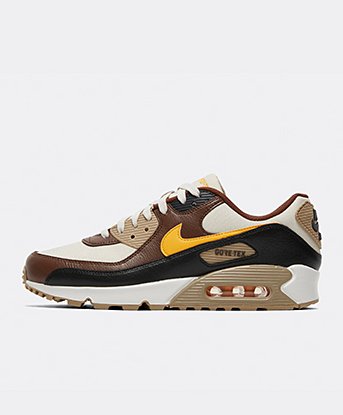 Air Max 90 GTX Trainer
