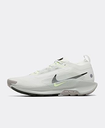 Pegasus Trail 5 GORE-TEX Trainer