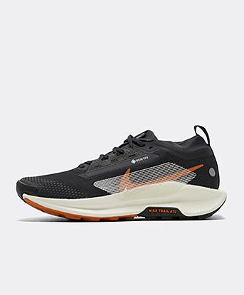 Pegasus Trail 5 GORE-TEX Trainer