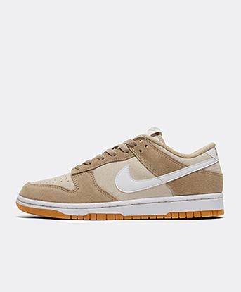 Dunk Low Retro SE Trainer