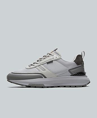 Ambruzzia Trainer