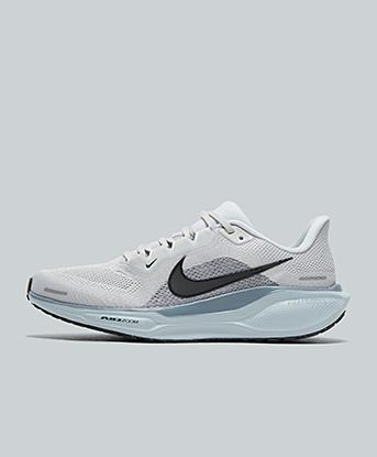 Pegasus 41 Trainer