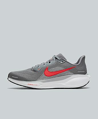 Pegasus 41 Trainer