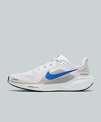 Pegasus 41 Trainer
